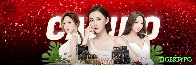 tigertypg Turbo - bônus diário Screenshot 1